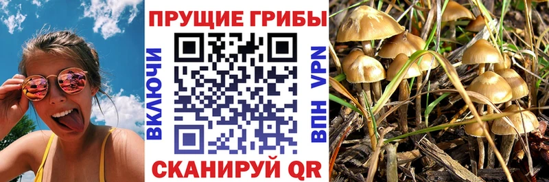Галлюциногенные грибы GOLDEN TEACHER  Макаров 